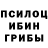 Псилоцибиновые грибы Psilocybe tsegezeab ghebremariam
