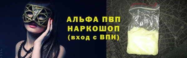 мяу мяу мука Надым