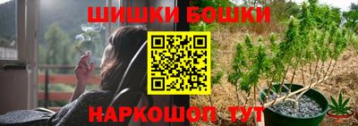 крисы Жуковский