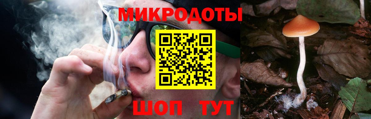 Галлюциногенные грибы мухоморы  Вход с VPN  купить наркотик  Галлюциногенные грибы Cubensis  Ставрополь 